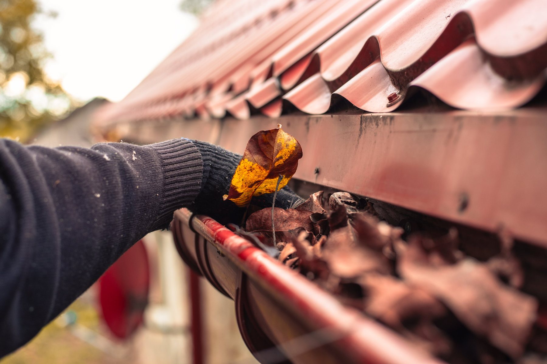 Roofing, Gutters & Exterior Cleaning